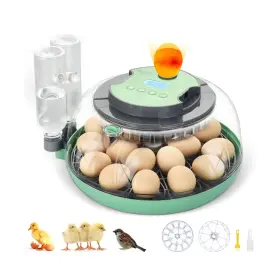 Aiqinu 975966336057 18 Egg Incubator With Automatic Turning And Humidity Control - Ini