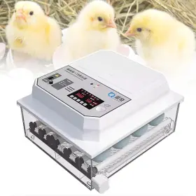 Brecoory 607602318962 12 Egg Incubator With Humidity Temperature Display Candler Automatic Eg