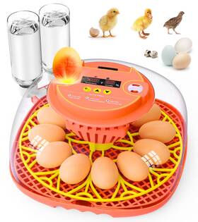 Brnvl Fdq-11 12 Egg Incubator For Hatching Eggs Smart Temperature And Humidity Control A