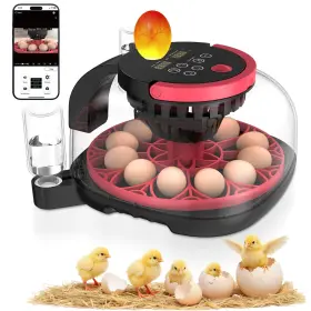 Inc-01 Caifunway Full Automatic 12 Egg Incubator With App Control And Video Record Eg
