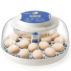 Cluckrun 060837711093 18 Egg Incubator Hatch Day And Humidity Display Automatic Turning Stop
