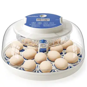Cluckrun 060837711093 18 Egg Incubator Hatch Day And Humidity Display Automatic Turning Stop