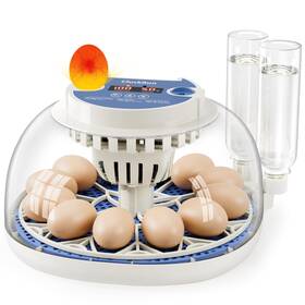 Cluckrun M12-h Egg Incubator Temperature And Humidity Display Automatic Turning C