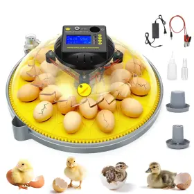 Dren Ktrain 601236804105 24 Eggs Incubator With Temperature And Humidity Display Automatic Egg Turn Inch
