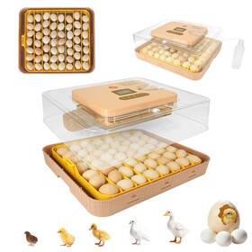 Gleegearnex Ggn00012 4th Gen 56 Egg Fully Automatic Incubator 2026 Upgradeddesign Intellige