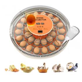 Gtminan Pei-01 30 Egg Incubator With Automatic Turning And Humidity Control/display Pou