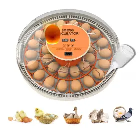 Pei-01 Gtminan 30 Egg Incubator With Automatic Turning And Humidity Control/display Pou
