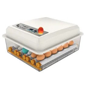 Xwd-56xa Hkdq Egg Incubator With Automatic Turning And Humidity Control P
