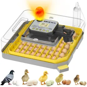 Ibkinxx 607606286038 Incubator For Hatching Eggs-48 Egg Capacity Auto Turner And New Preci