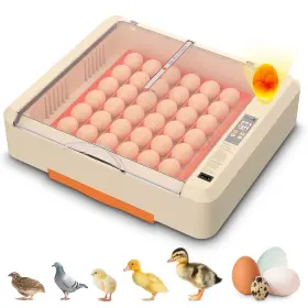 Cw-fd36o Innvello Egg Incubator With Auto Turning And Humidity Control 36-60 Eggs Hatcher