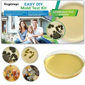 Kayenqo 445016722714 Mold Test Kit For Home - 12 Tests Hvac System Surface Air Quality