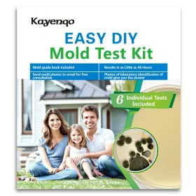 Kayenqo-mold-6 Kayenqo Mold Test Kit For Home - 6 Simple Detection Tests Hvac System Surfa