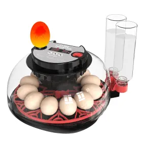 Hxus0-036-h12 Khsp5d 12 Egg Incubator With Temperature Control Humidity Display Automatic Tu