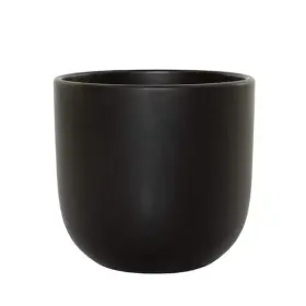 National Plant Network 840125211161 Npn 5 L X Inch W H 1 Quart Semi Matte Black Indoor Ceramic Grant Pack
