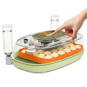 Ms-0094d24 Ovatt 24-egg Digital Incubator - Automatic Temperature And Humidity Control