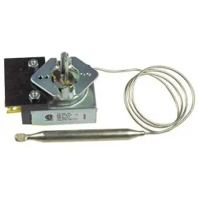 5300-174 Robertshaw 662013238636 Thermostat