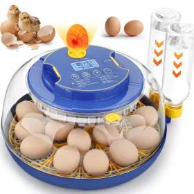 Tacoso 718910997531 Incubators-for-hatching-eggs 18-egg-incubator For Hatching Chickens W