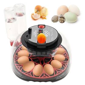 Usunfarm Zhou250220 12 Egg Incubator With Humidity Display Automatic Turn
