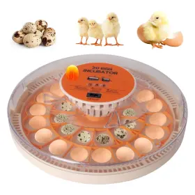Zhou25022001 Usunfarm 30 Egg Automatic Turner Incubator With Thermometer Seat And Humidity Control