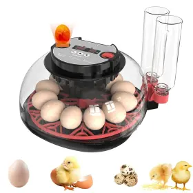 53208zjy Zjyufy 12 Egg Incubator With Automatic Turning And Humidity Control Fo