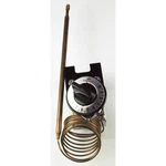 Robertshaw 5300-027 Electric THERMOSTAT,120/277VAC,500F Max 6KXG1 New. Price: $184.83.