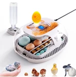 Egg Incubator With Humidity Display,automatic Turner, Led Candler Read New. Price: $80.99.