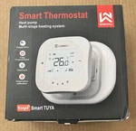 Saswell Smart Thermostat T18BUTW-7-WIYI(TY) White Programmable Alexa Google Open. Price: $24.99.