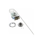 All Points 461890 Thermostat W/ Pilot Light, D1 New. Price: $602.67.