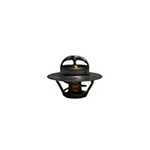 Thermostat - 160 Fits International 656 706 37634DA Case 010716AB New. Price: $30.89.
