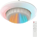 3-IN-1 Portable Heating Fan Light With Remote Control & Timer, 800W New. Price: $58.99.