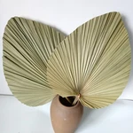 23" H X 15" Giant Tropical Dried Palm Leaves, Large Fan For Wed... New. Price: $45.84.
